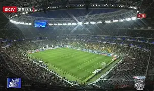 开云-周启豪对奥恰洛夫的比赛视频回放完整